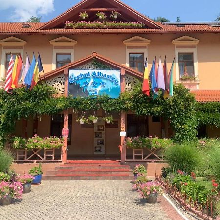 Vila Cerbul Albastru Hotel Moneasa Exterior foto