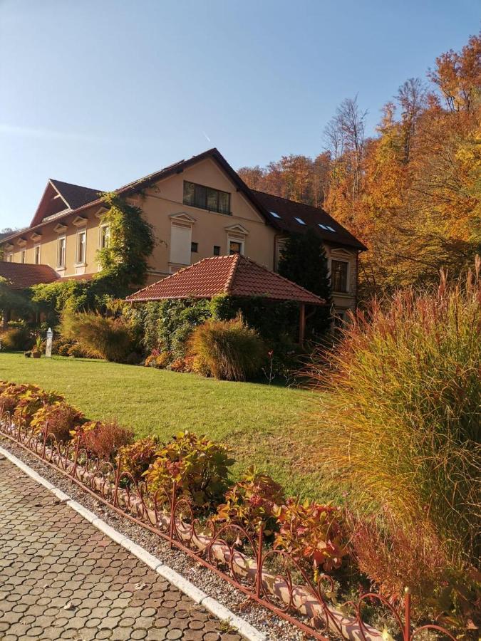 Vila Cerbul Albastru Hotel Moneasa Exterior foto