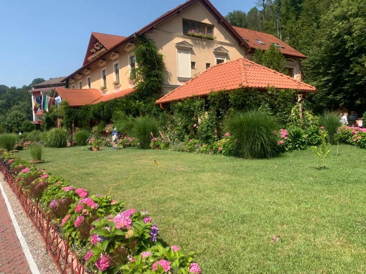 Vila Cerbul Albastru Hotel Moneasa Exterior foto
