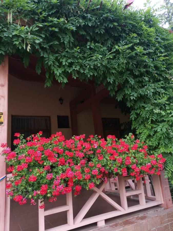 Vila Cerbul Albastru Hotel Moneasa Exterior foto