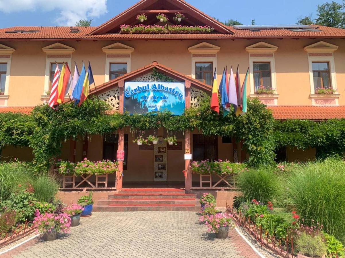 Vila Cerbul Albastru Hotel Moneasa Exterior foto